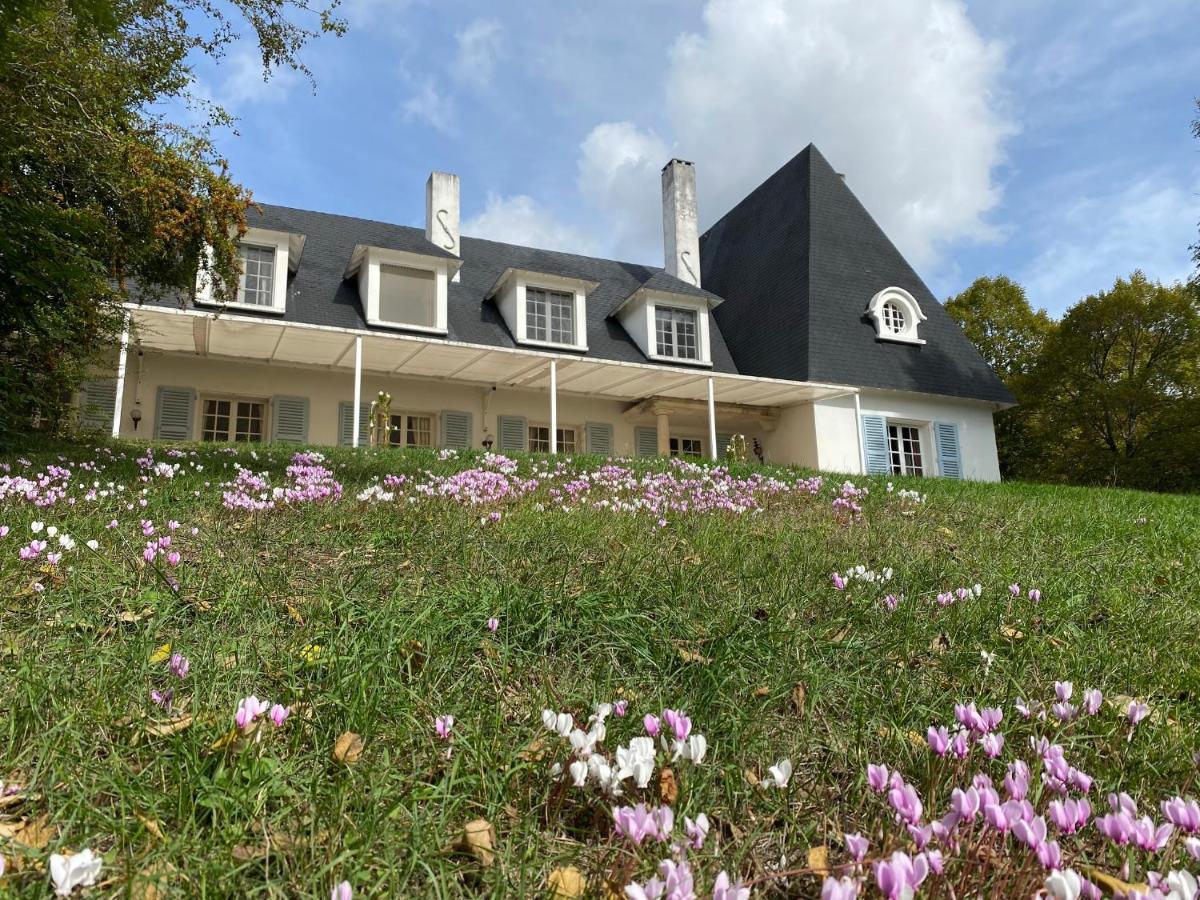 Manoir Et Appartements Avec Piscine Au Domaine De Bize Mirepoix Mirepoix  Exterior foto